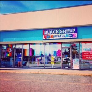 Blacksheep Resale Tacoma, WA